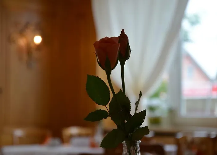 Hotel Hotel&restaurant Krone 3*